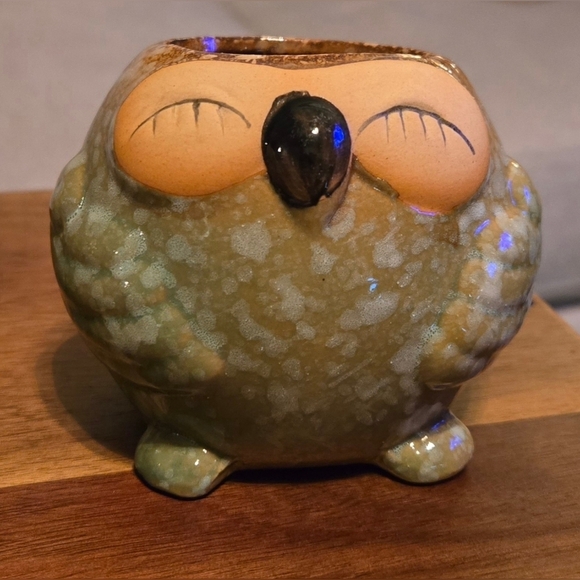 NWOT | Adorable Ceramic Owl Succulent Planter Pots | Set Of 4 | Drainage Holes - Picture 15 of 16